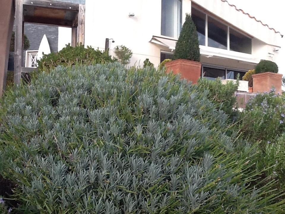 La Villa Blanche Marseille Phòng bức ảnh